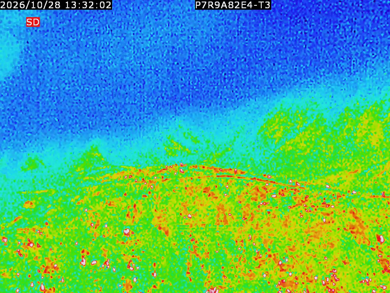 thermal-lilin_202610281332.mp4
