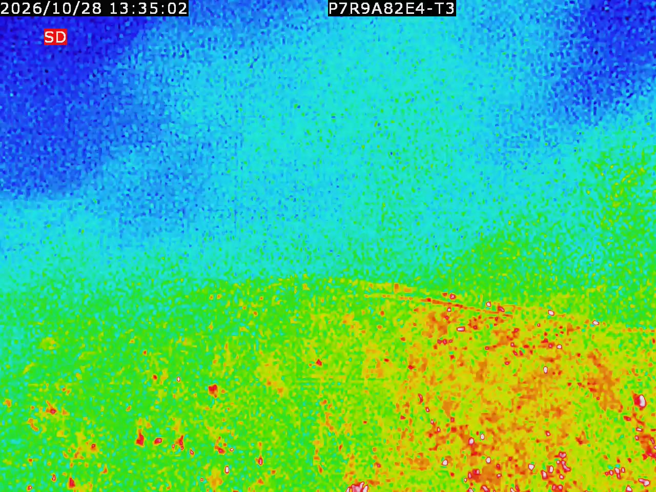 thermal-lilin_202610281335.mp4