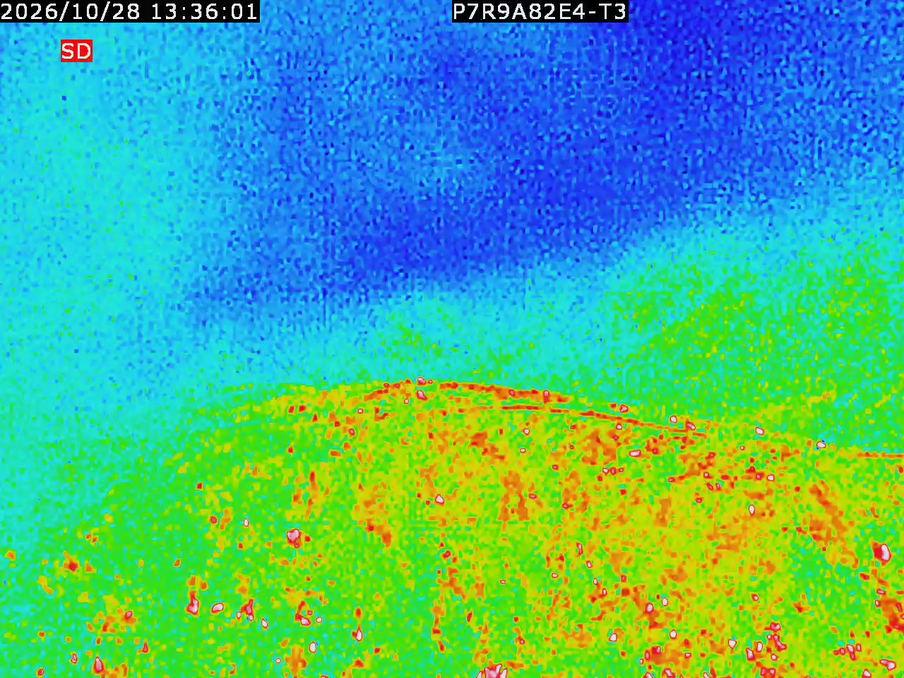 thermal-lilin_202610281336.mp4