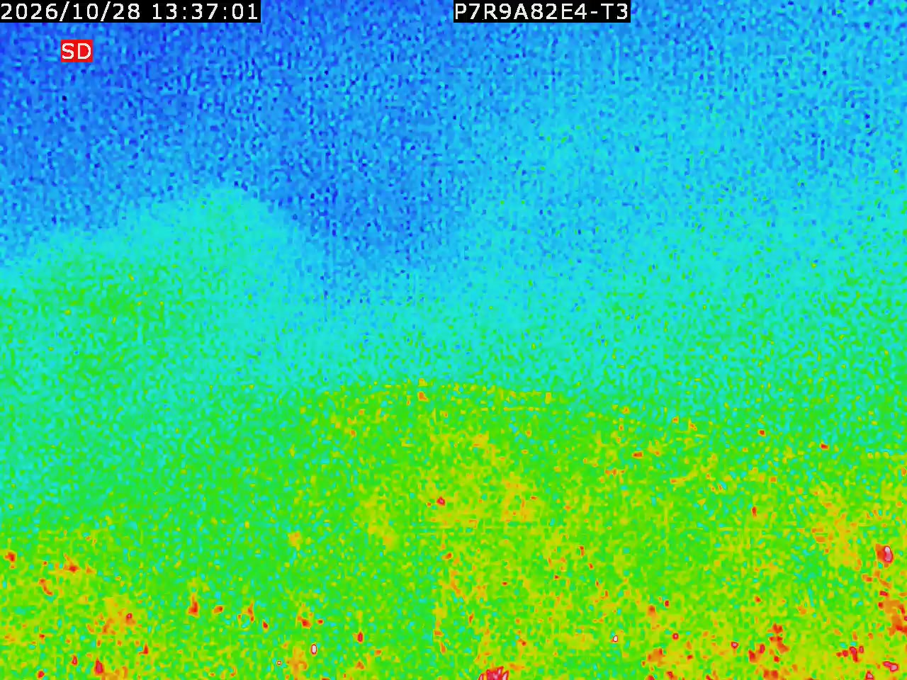 thermal-lilin_202610281337.mp4