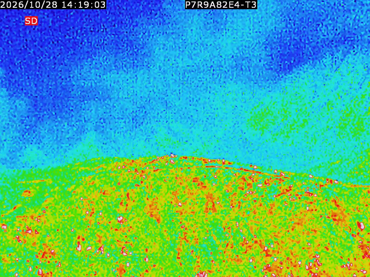 thermal-lilin_202610281419.mp4