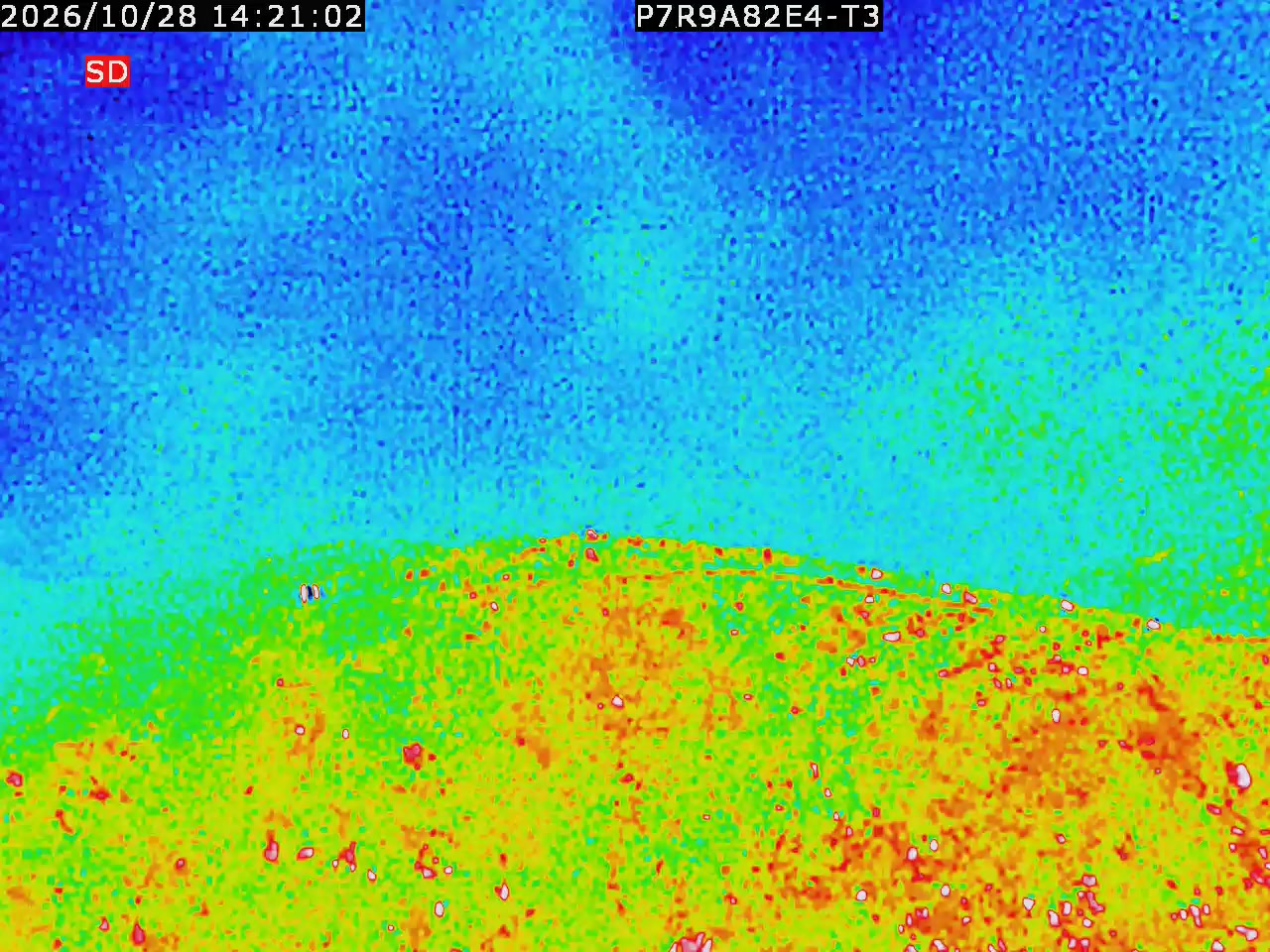 thermal-lilin_202610281421.mp4