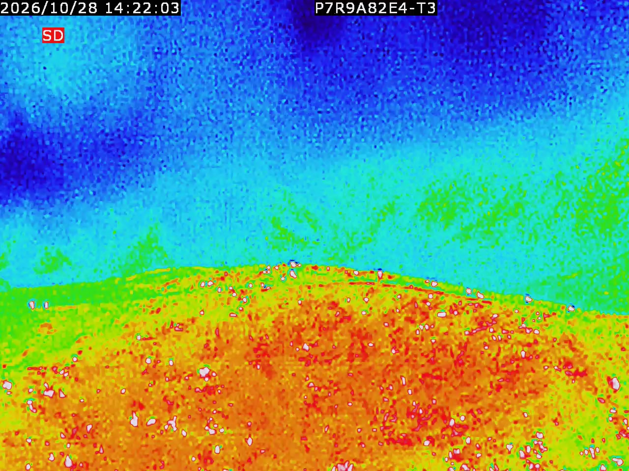 thermal-lilin_202610281422.mp4
