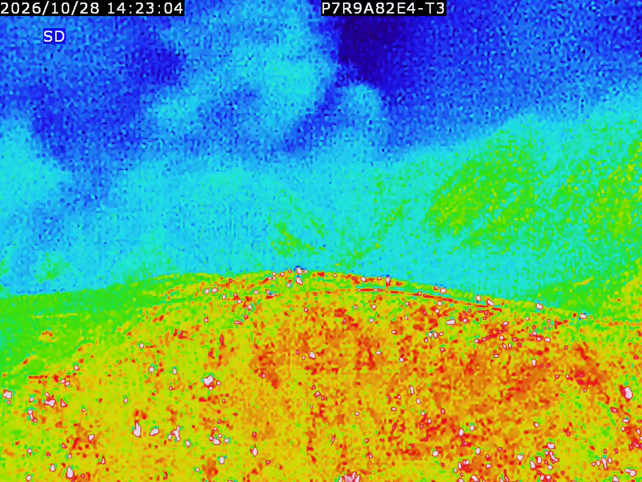 thermal-lilin_202610281423.mp4