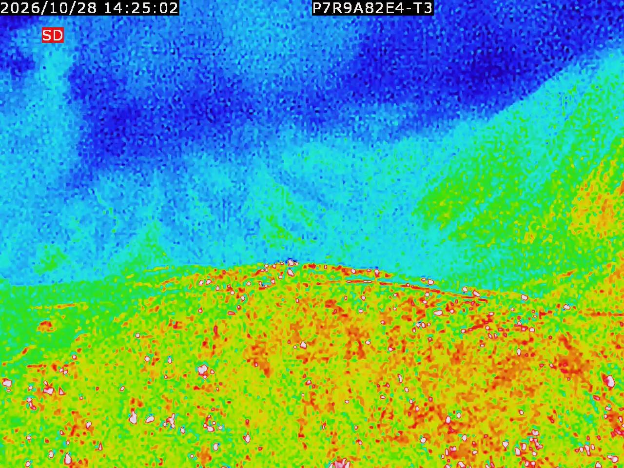 thermal-lilin_202610281425.mp4