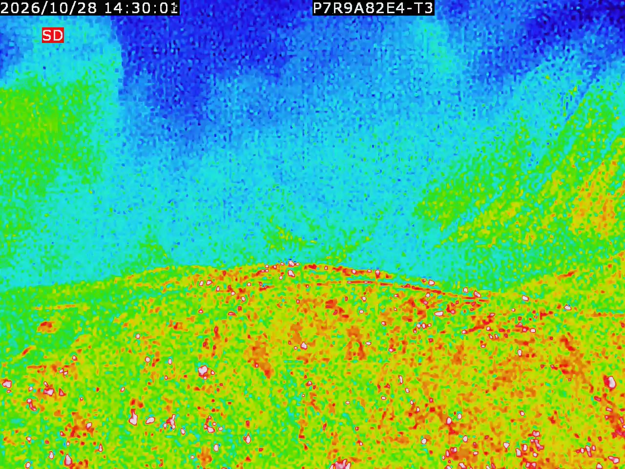 thermal-lilin_202610281430.mp4