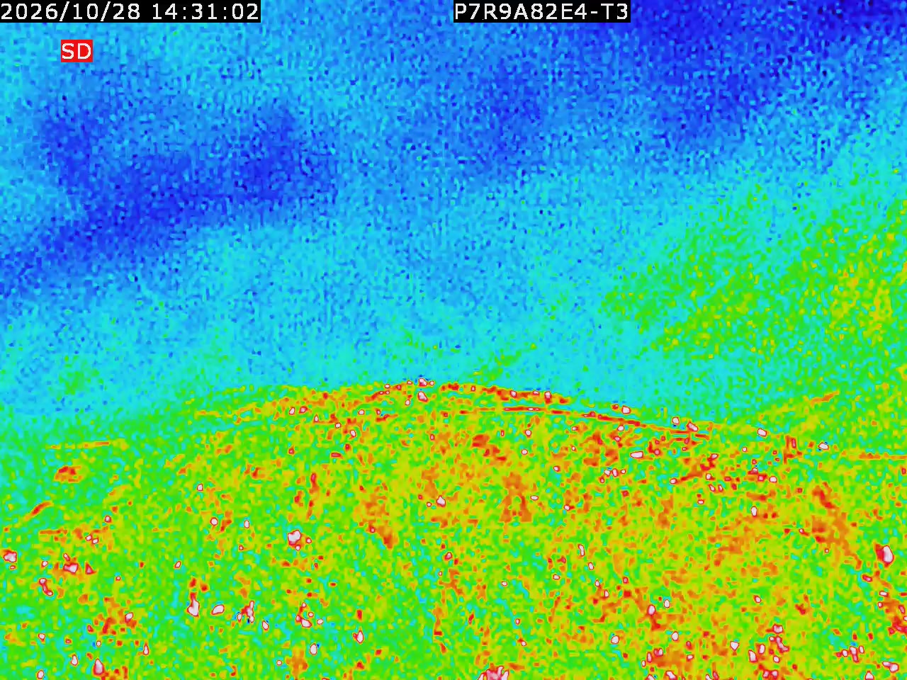 thermal-lilin_202610281431.mp4