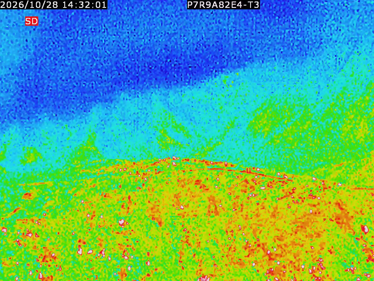 thermal-lilin_202610281432.mp4