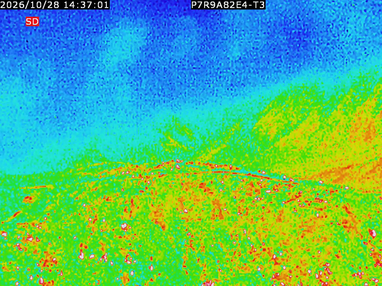 thermal-lilin_202610281437.mp4