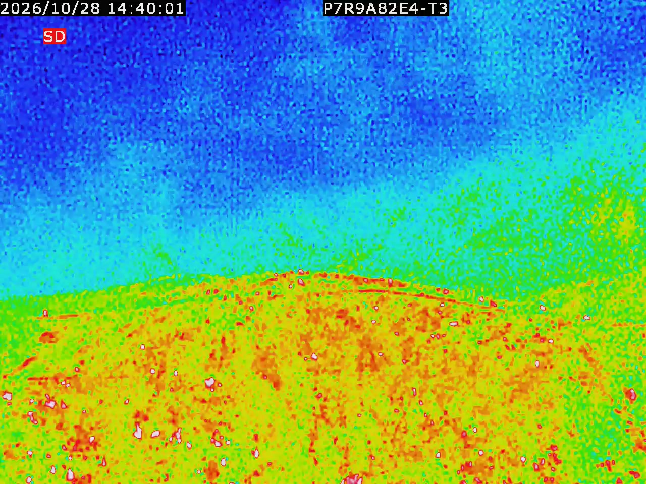 thermal-lilin_202610281440.mp4