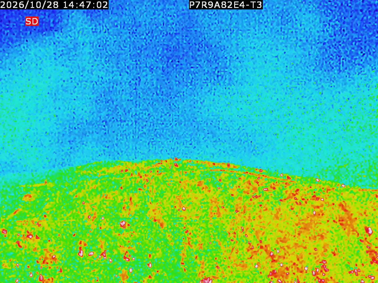 thermal-lilin_202610281447.mp4