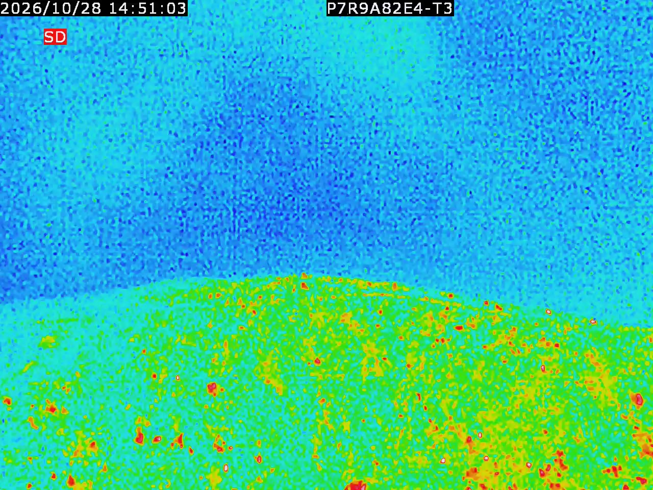 thermal-lilin_202610281451.mp4
