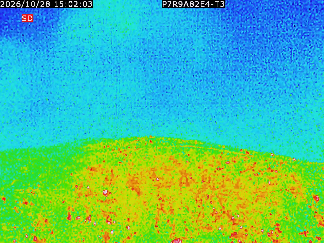 thermal-lilin_202610281502.mp4