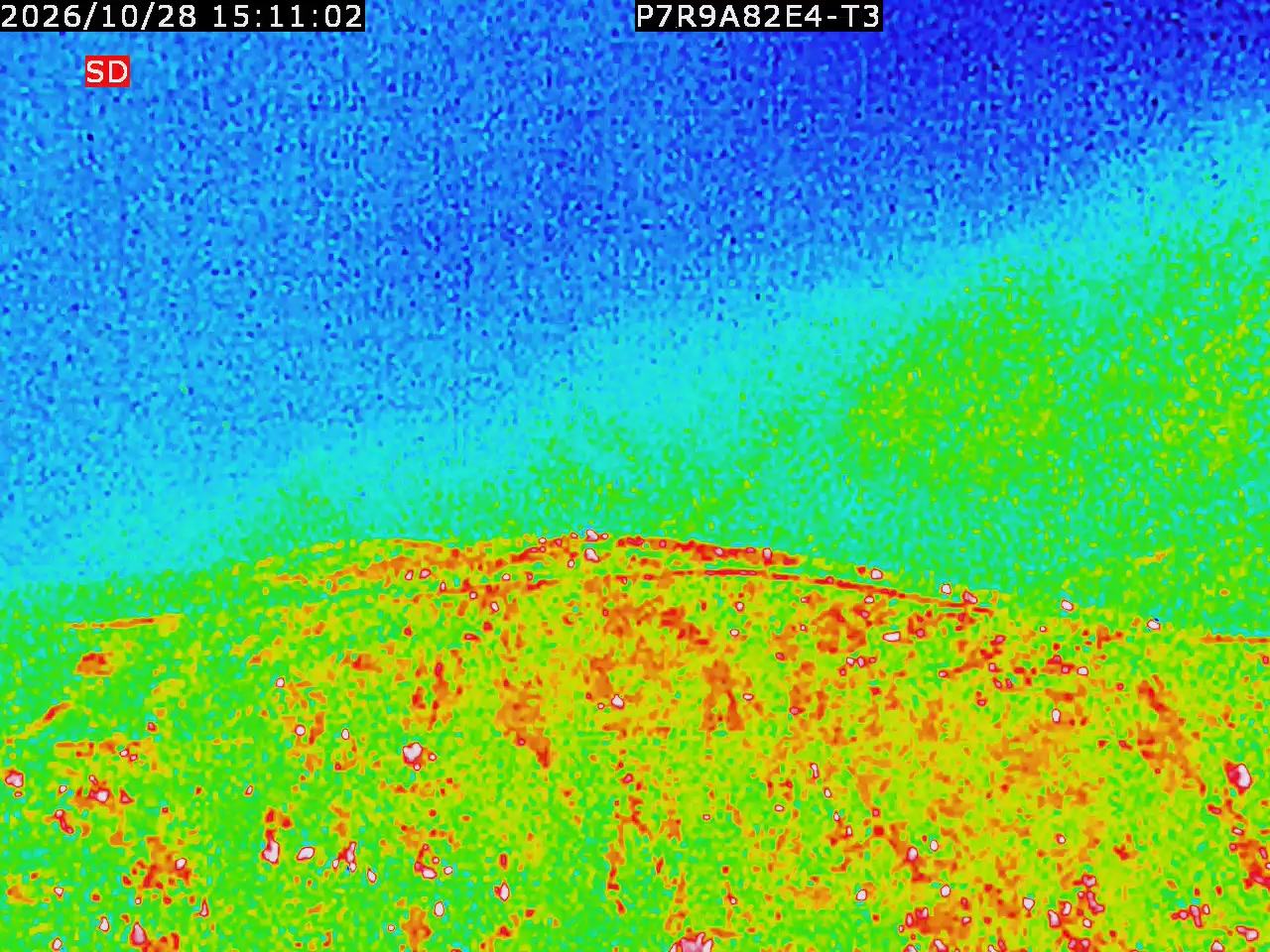thermal-lilin_202610281511.mp4