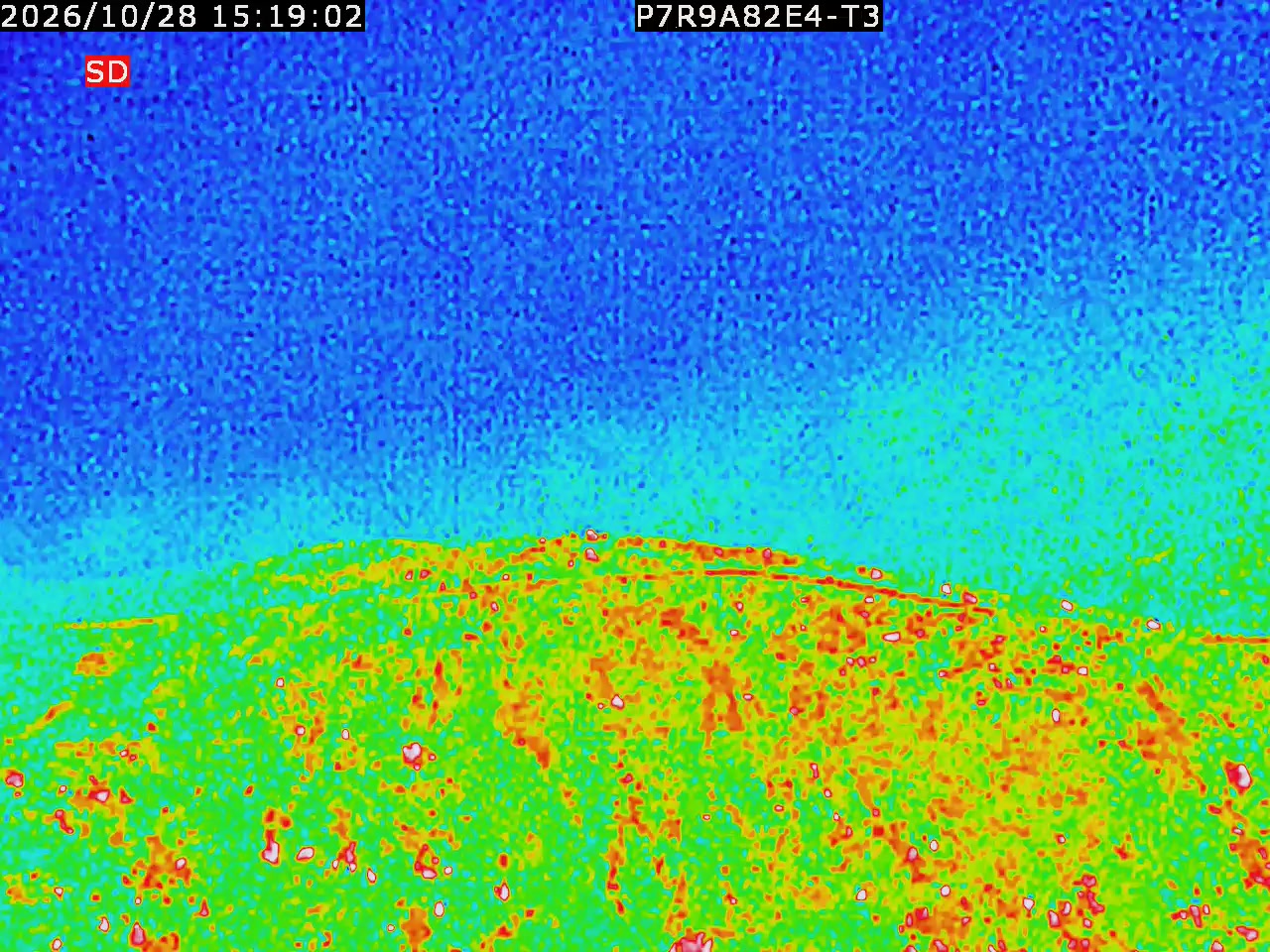 thermal-lilin_202610281519.mp4