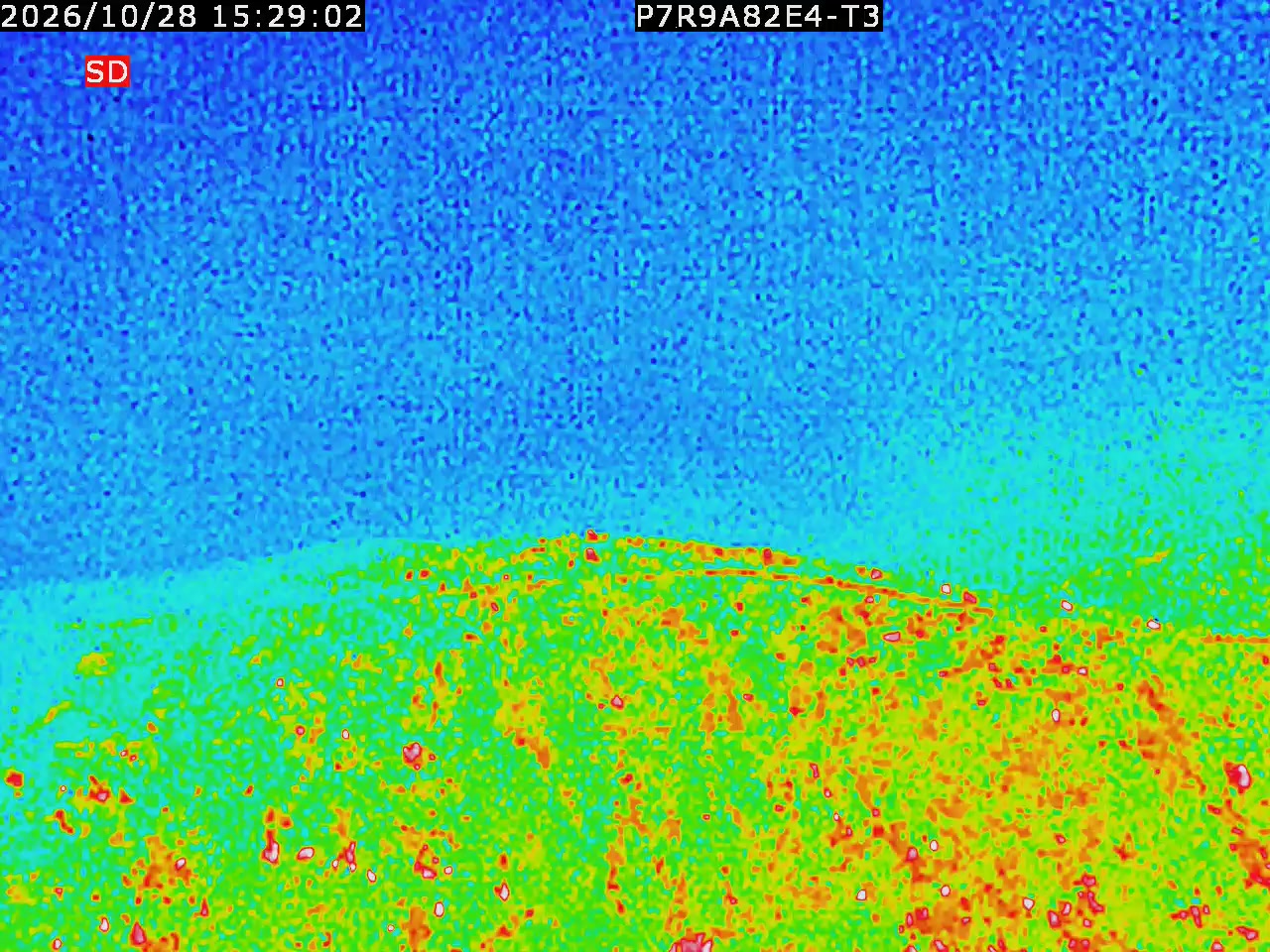 thermal-lilin_202610281529.mp4