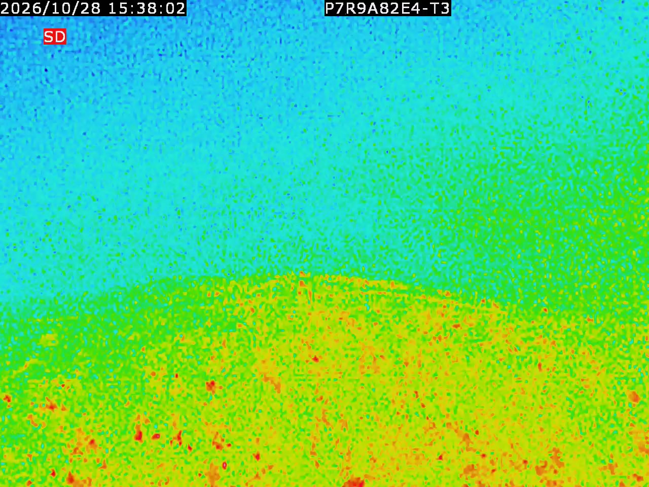 thermal-lilin_202610281538.mp4