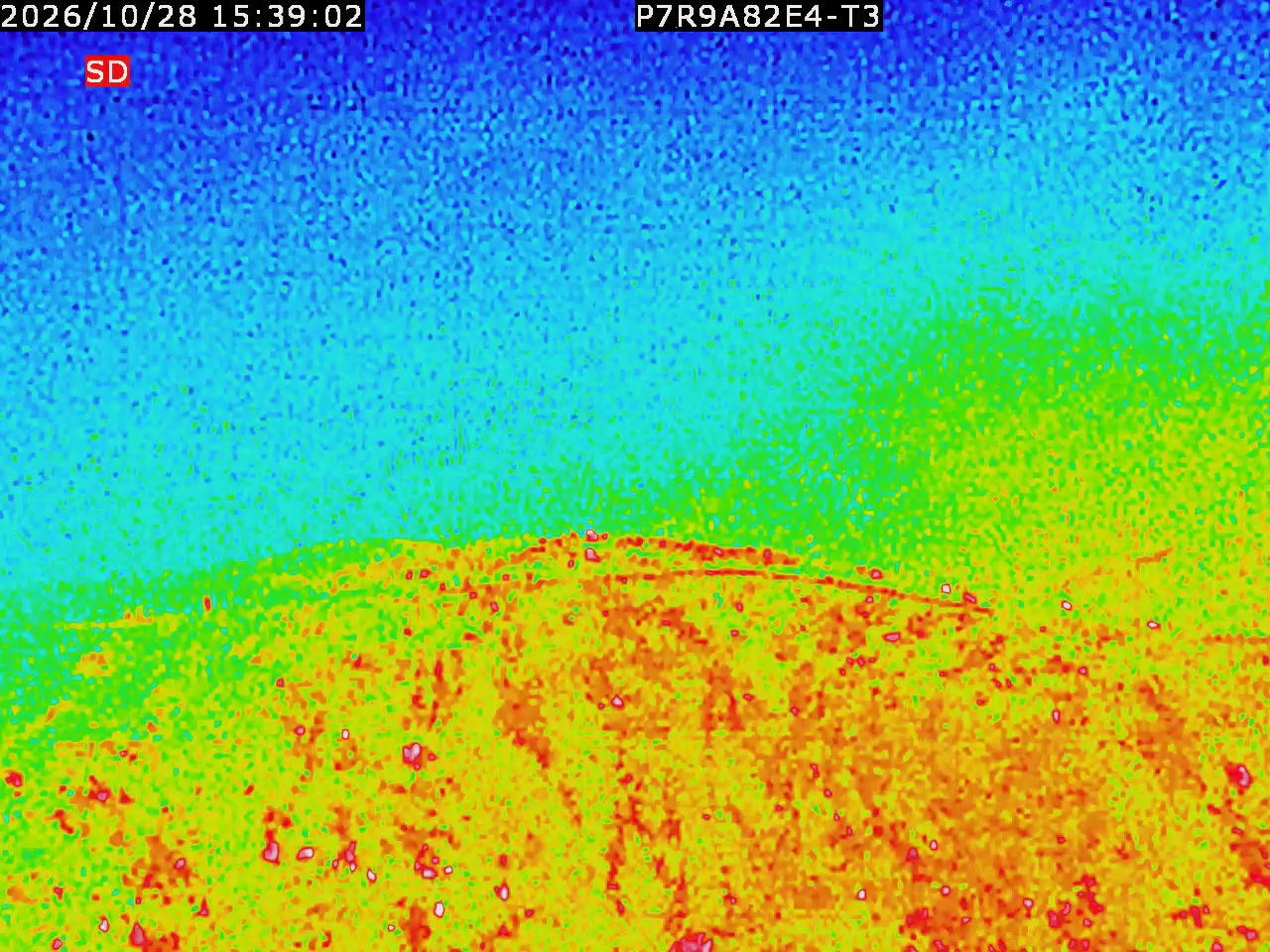 thermal-lilin_202610281539.mp4