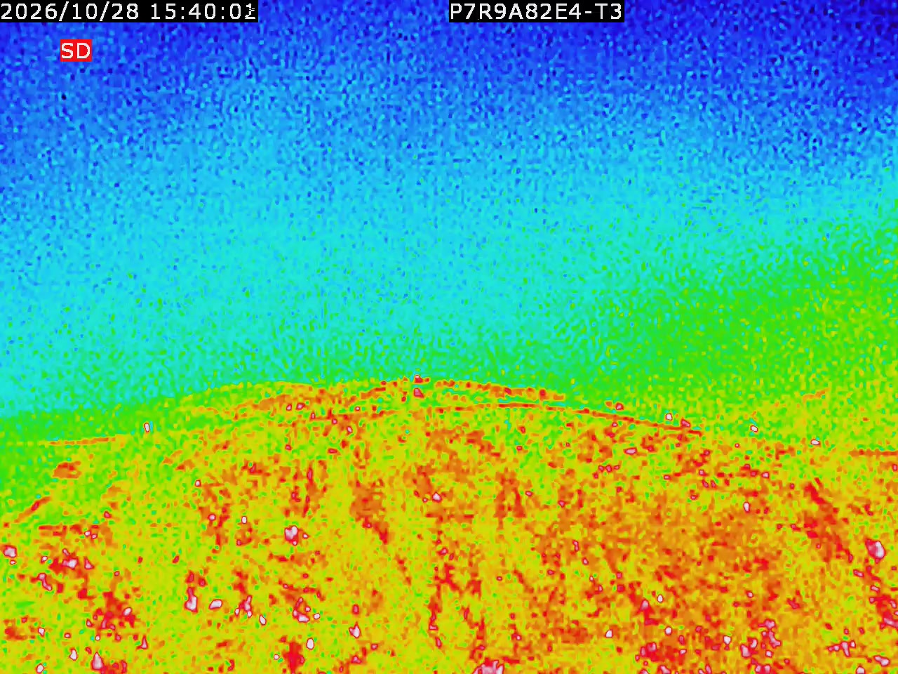 thermal-lilin_202610281540.mp4