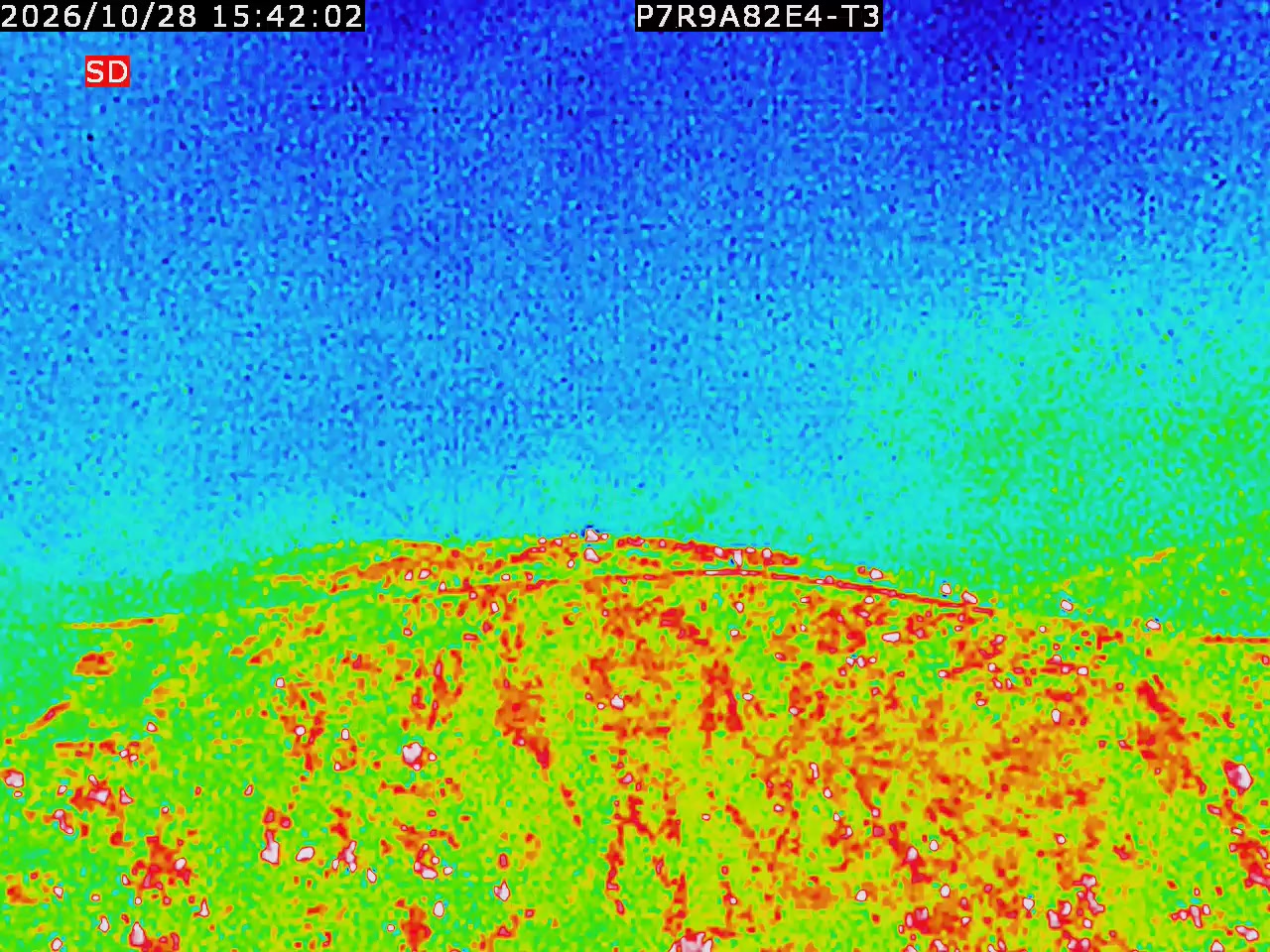 thermal-lilin_202610281542.mp4