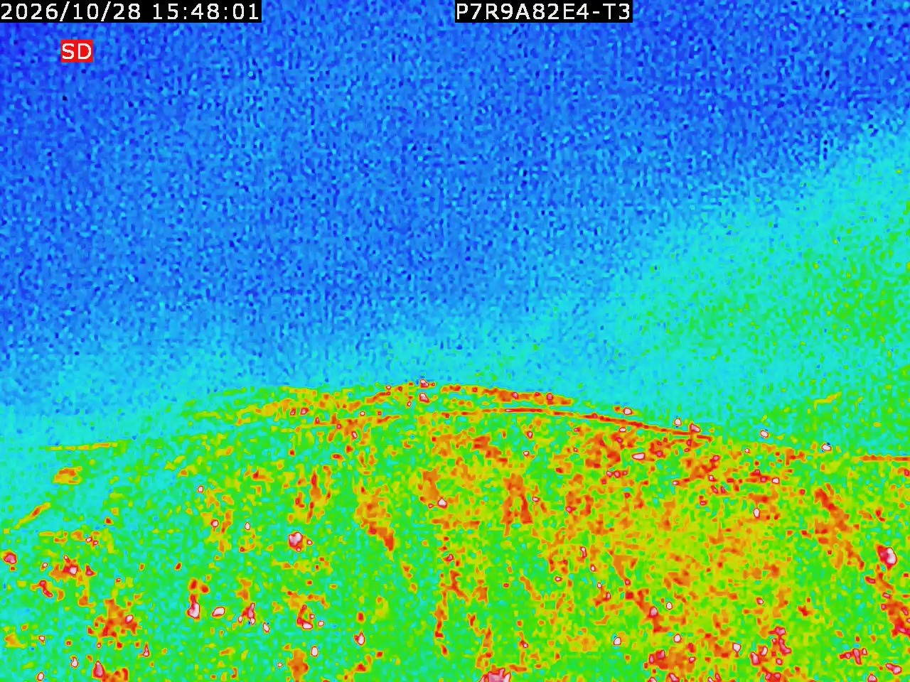 thermal-lilin_202610281548.mp4