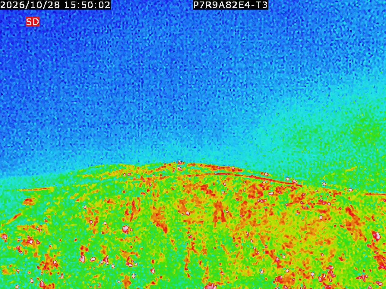 thermal-lilin_202610281550.mp4