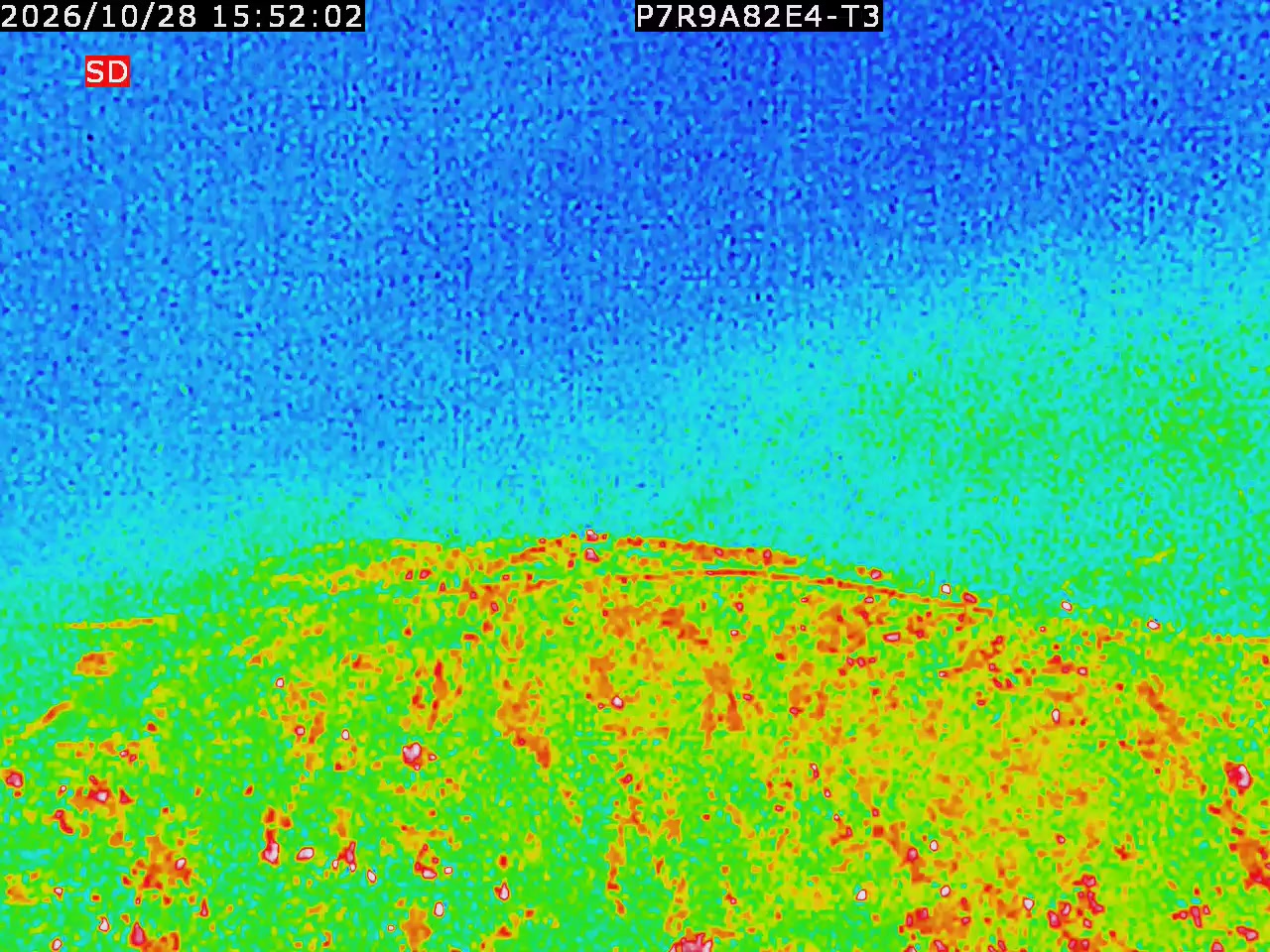 thermal-lilin_202610281552.mp4