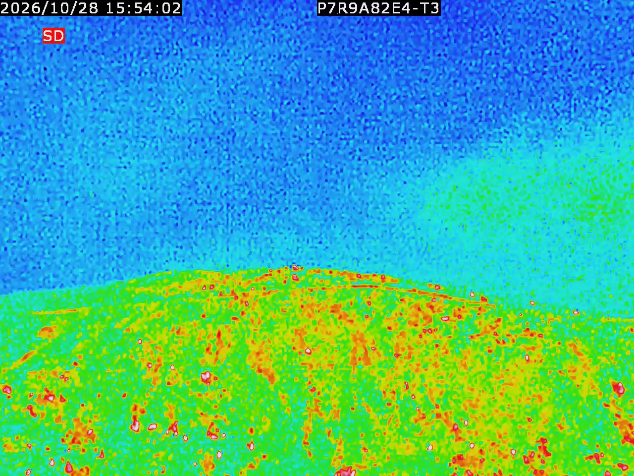 thermal-lilin_202610281554.mp4