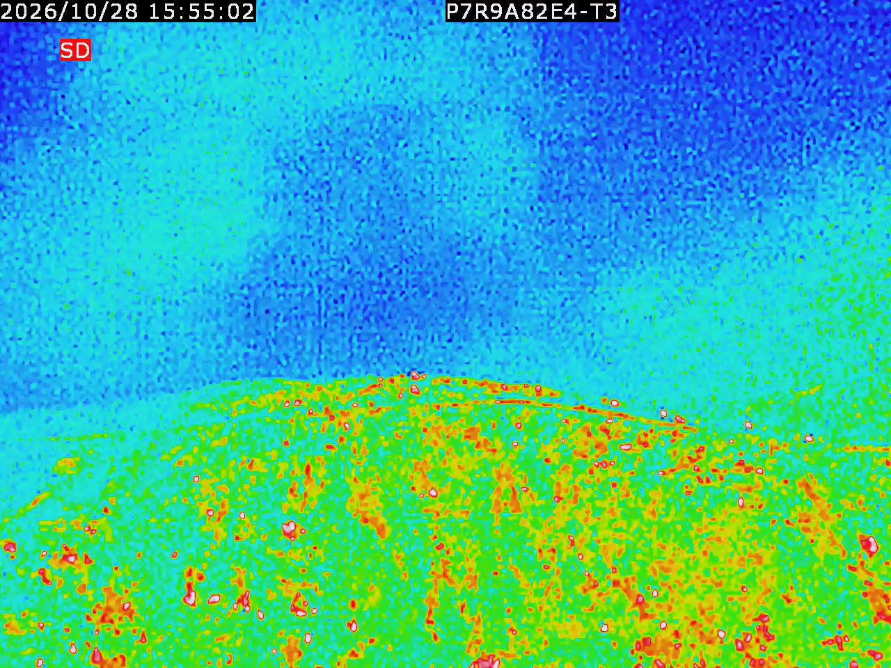 thermal-lilin_202610281555.mp4