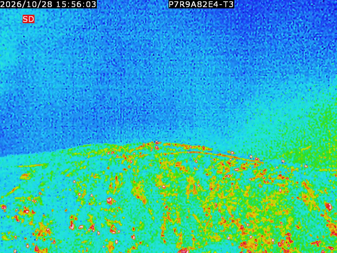 thermal-lilin_202610281556.mp4