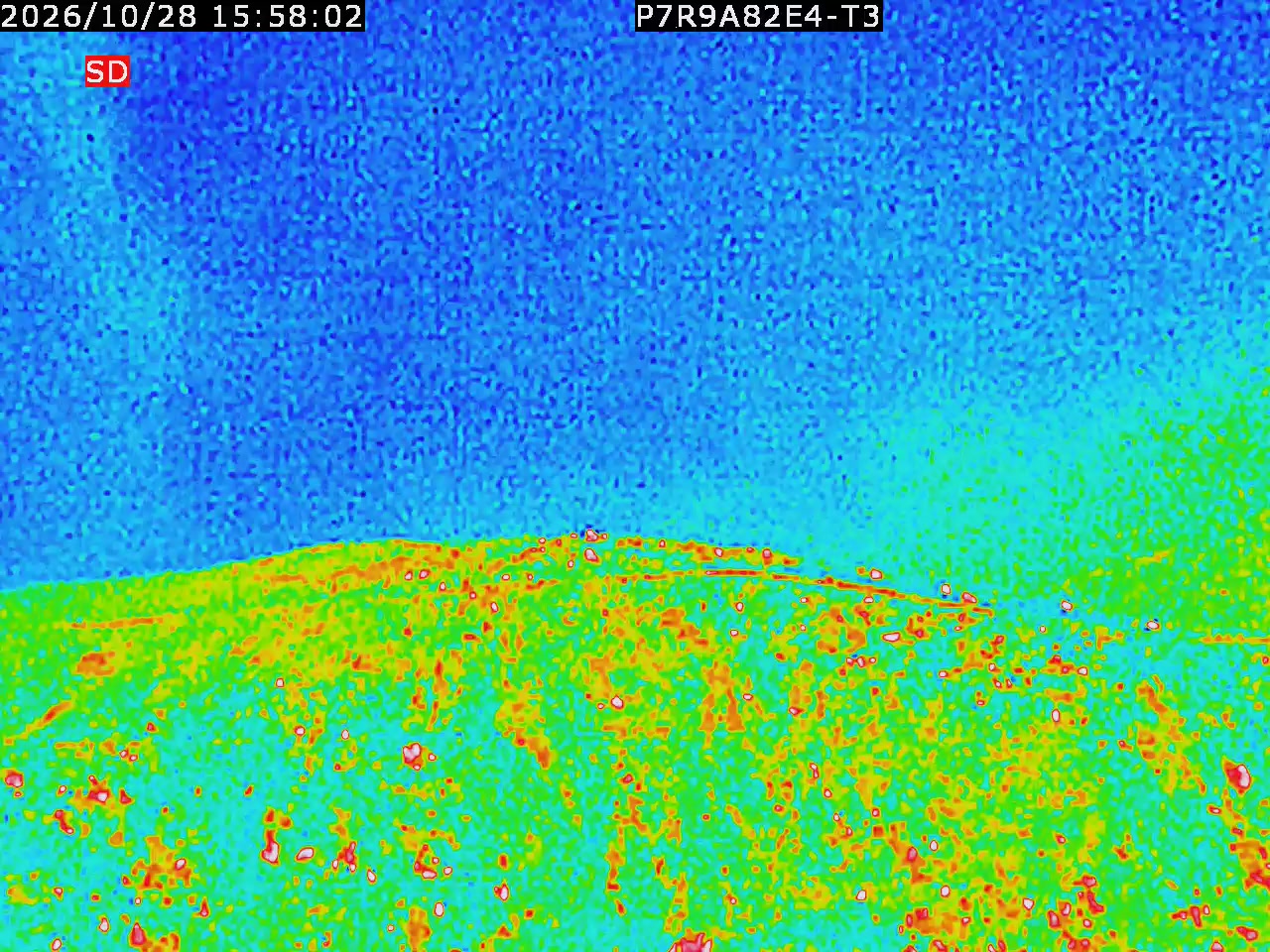 thermal-lilin_202610281558.mp4