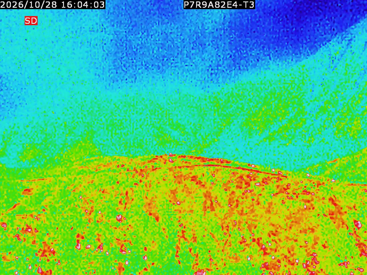 thermal-lilin_202610281604.mp4