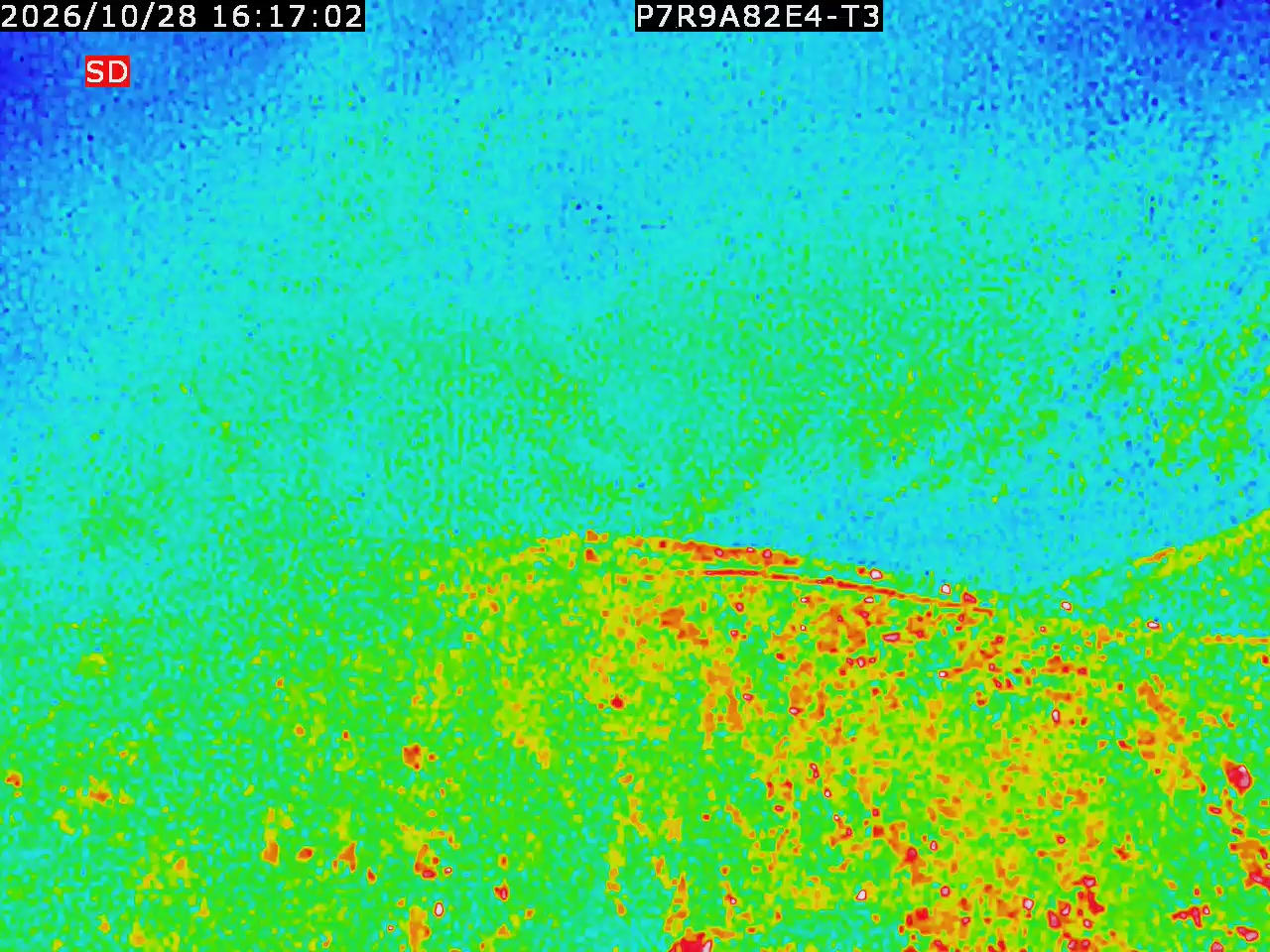 thermal-lilin_202610281617.mp4