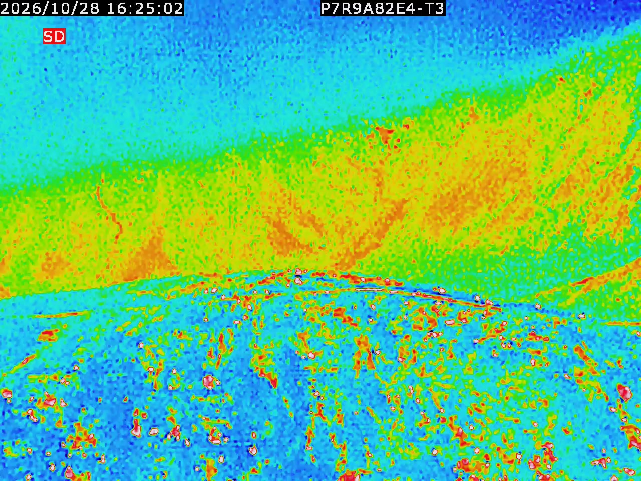 thermal-lilin_202610281625.mp4
