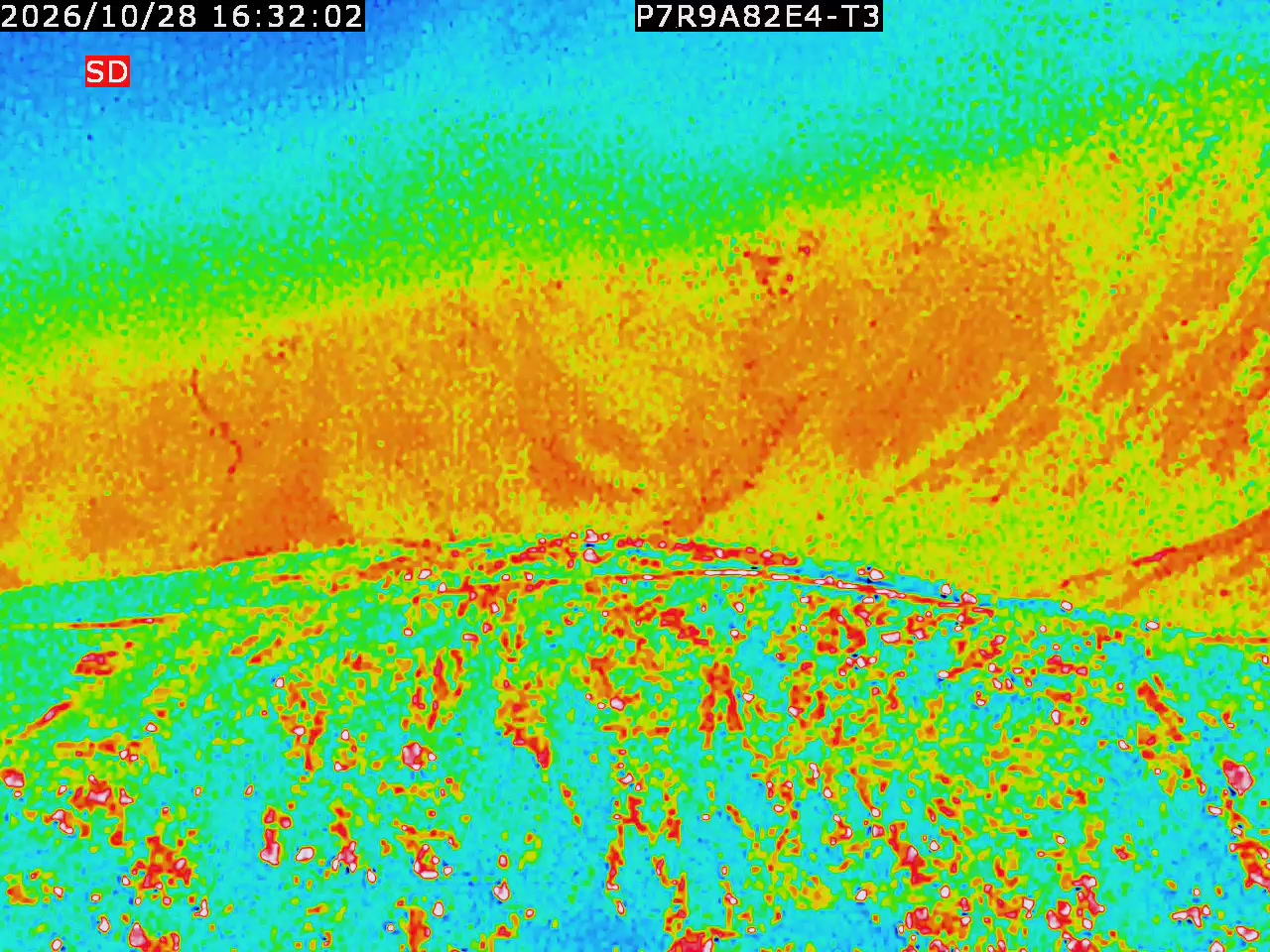 thermal-lilin_202610281632.mp4