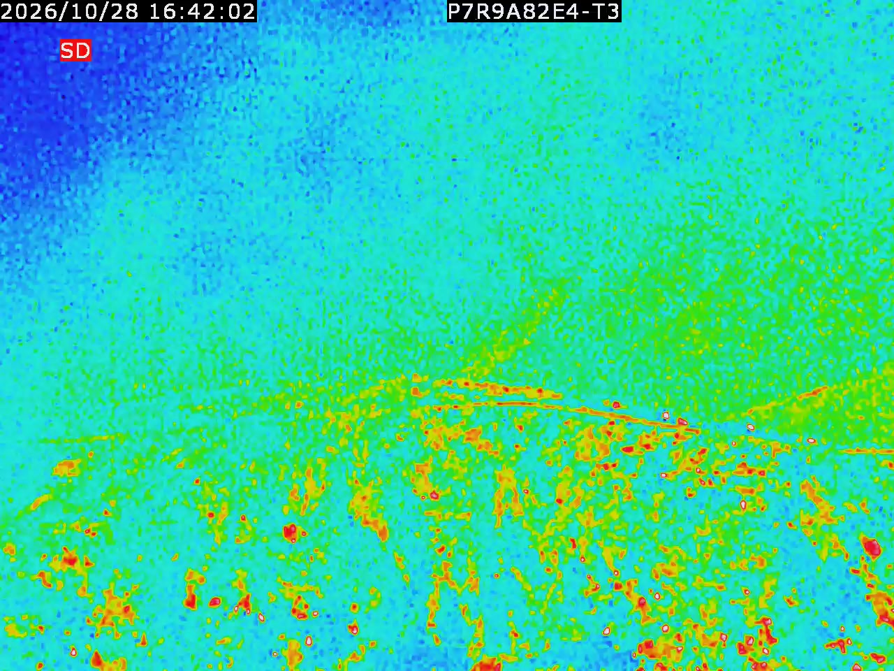 thermal-lilin_202610281642.mp4