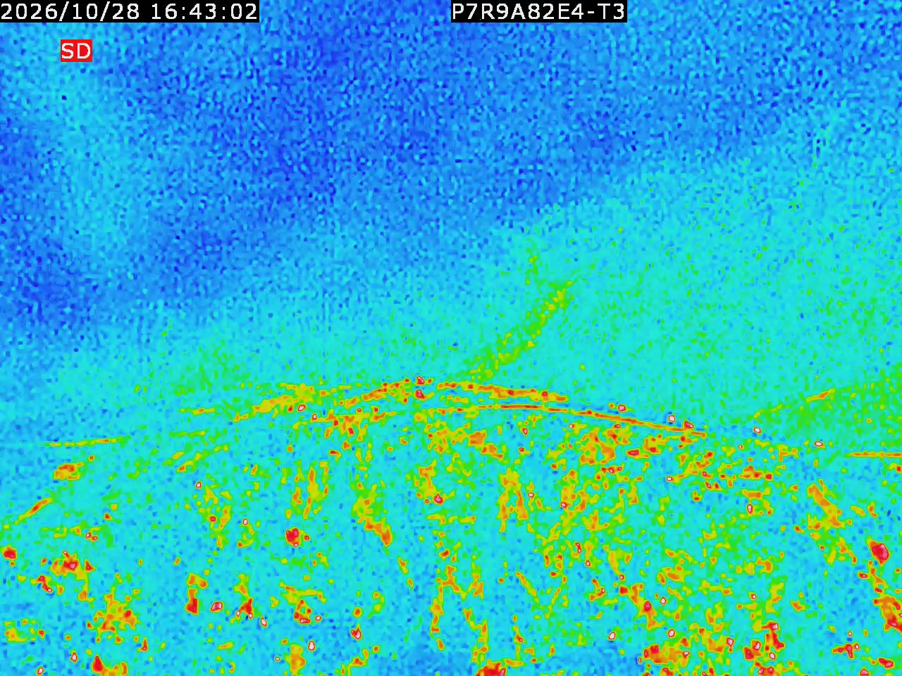 thermal-lilin_202610281643.mp4