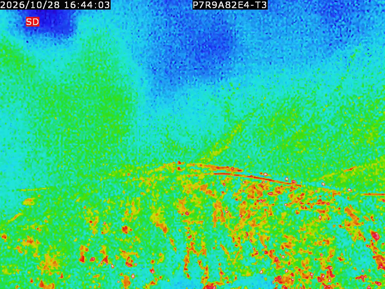 thermal-lilin_202610281644.mp4