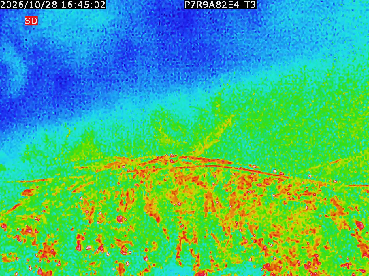thermal-lilin_202610281645.mp4