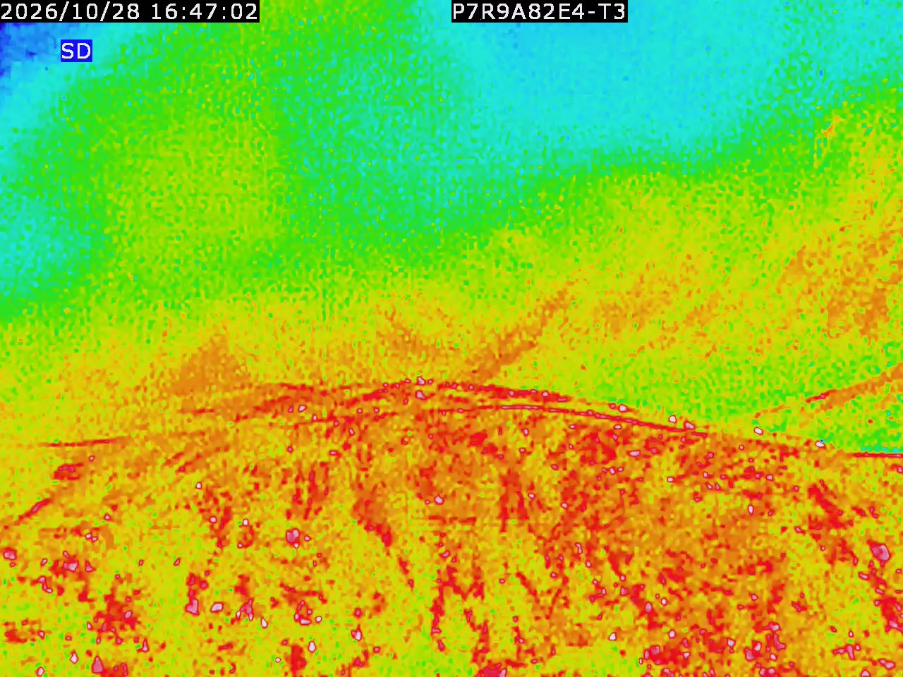 thermal-lilin_202610281647.mp4