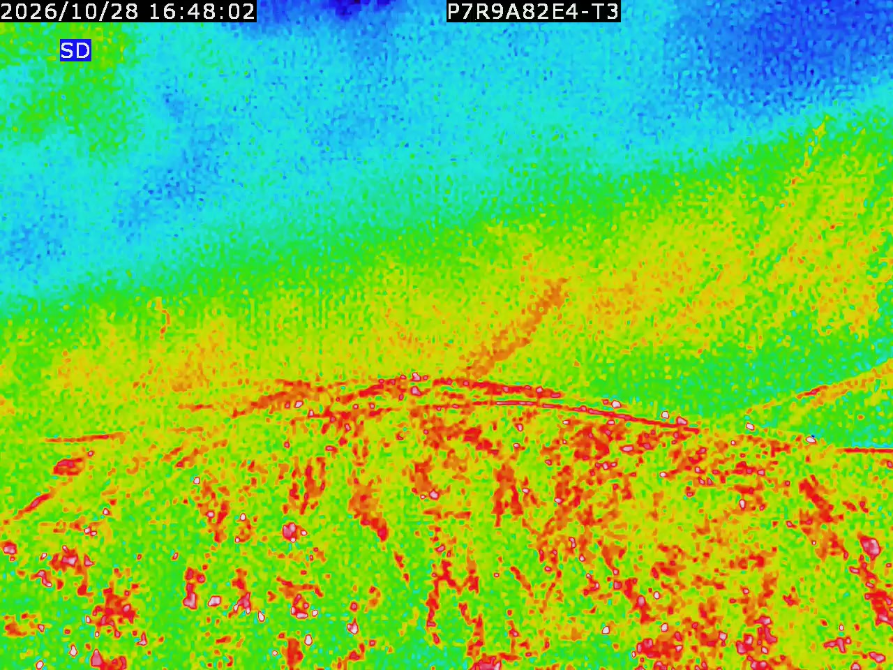 thermal-lilin_202610281648.mp4