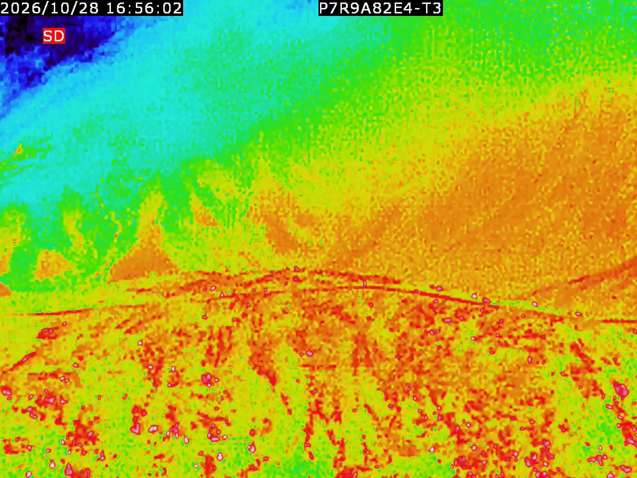 thermal-lilin_202610281656.mp4