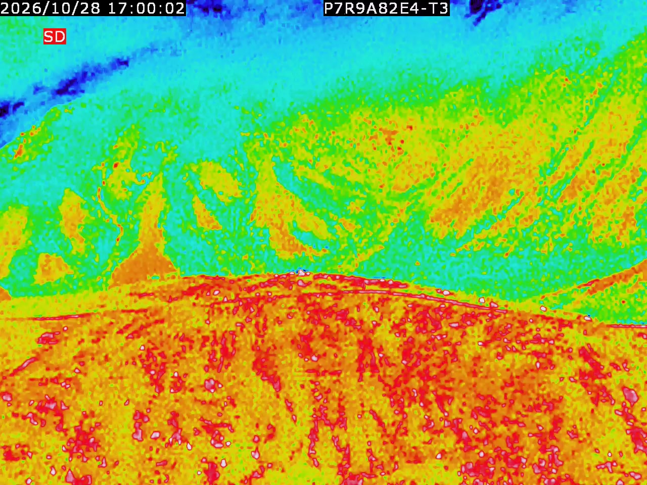 thermal-lilin_202610281700.mp4