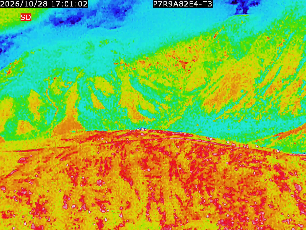 thermal-lilin_202610281701.mp4