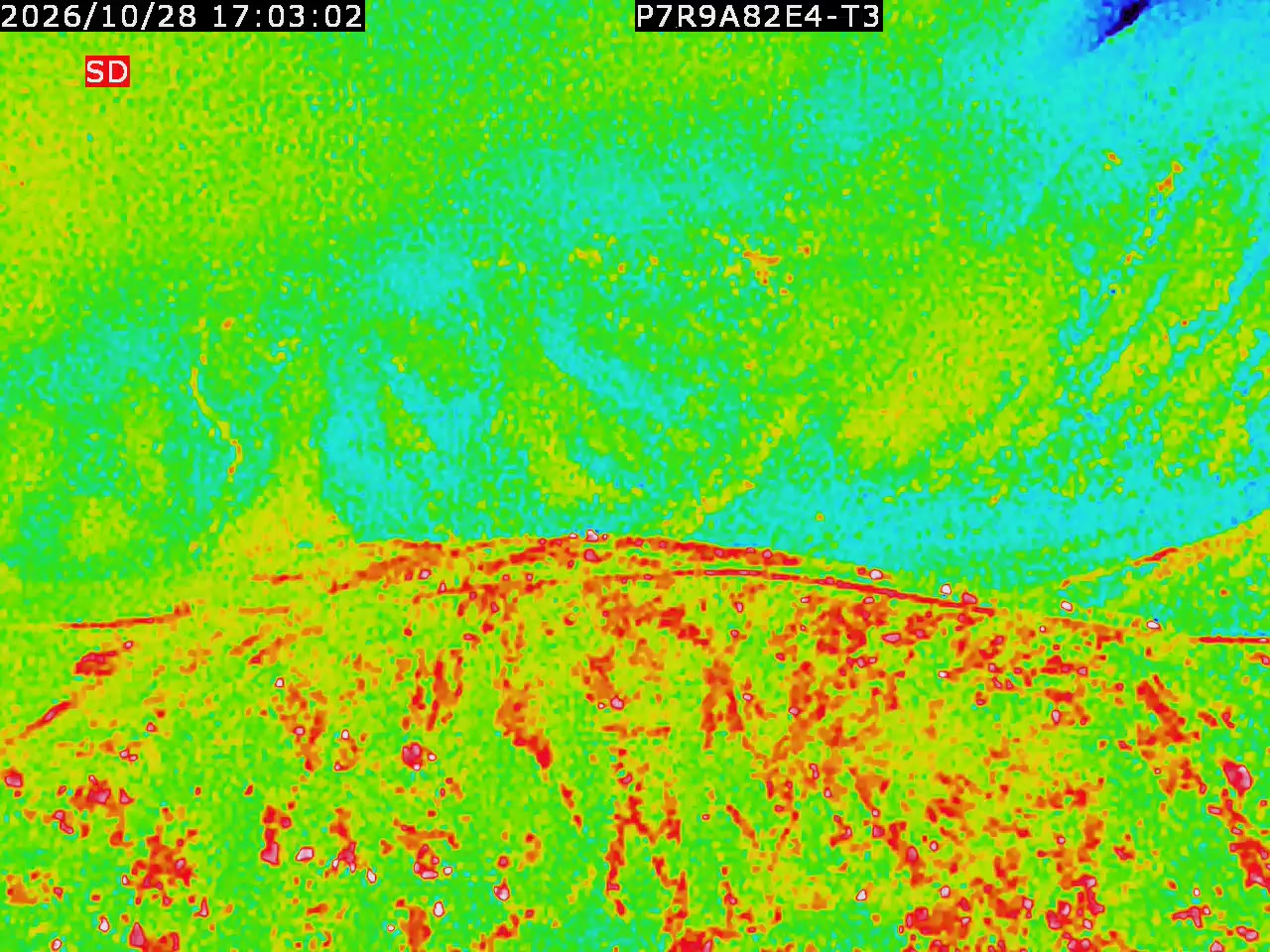 thermal-lilin_202610281703.mp4