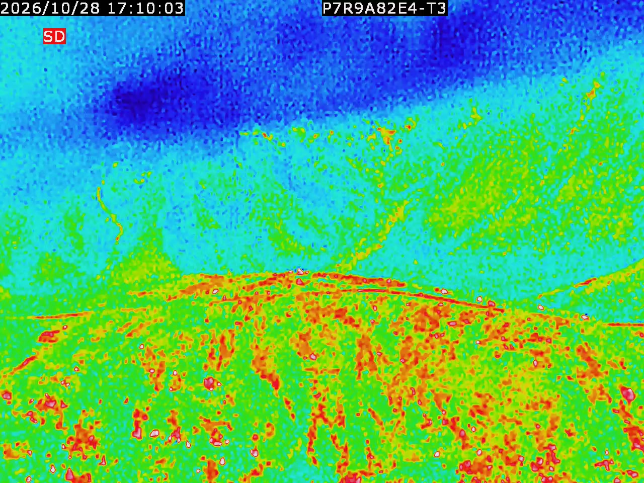 thermal-lilin_202610281710.mp4
