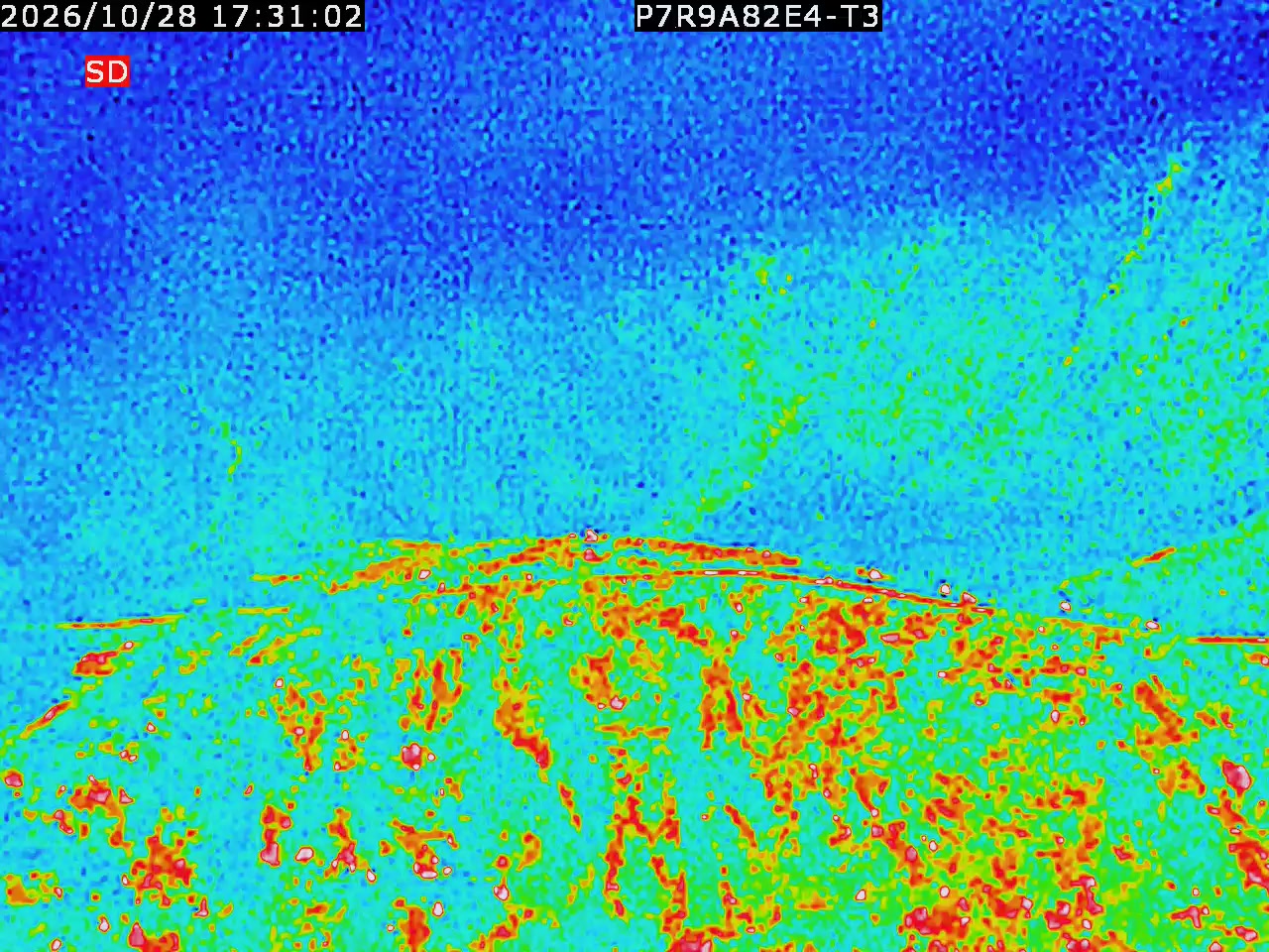 thermal-lilin_202610281731.mp4