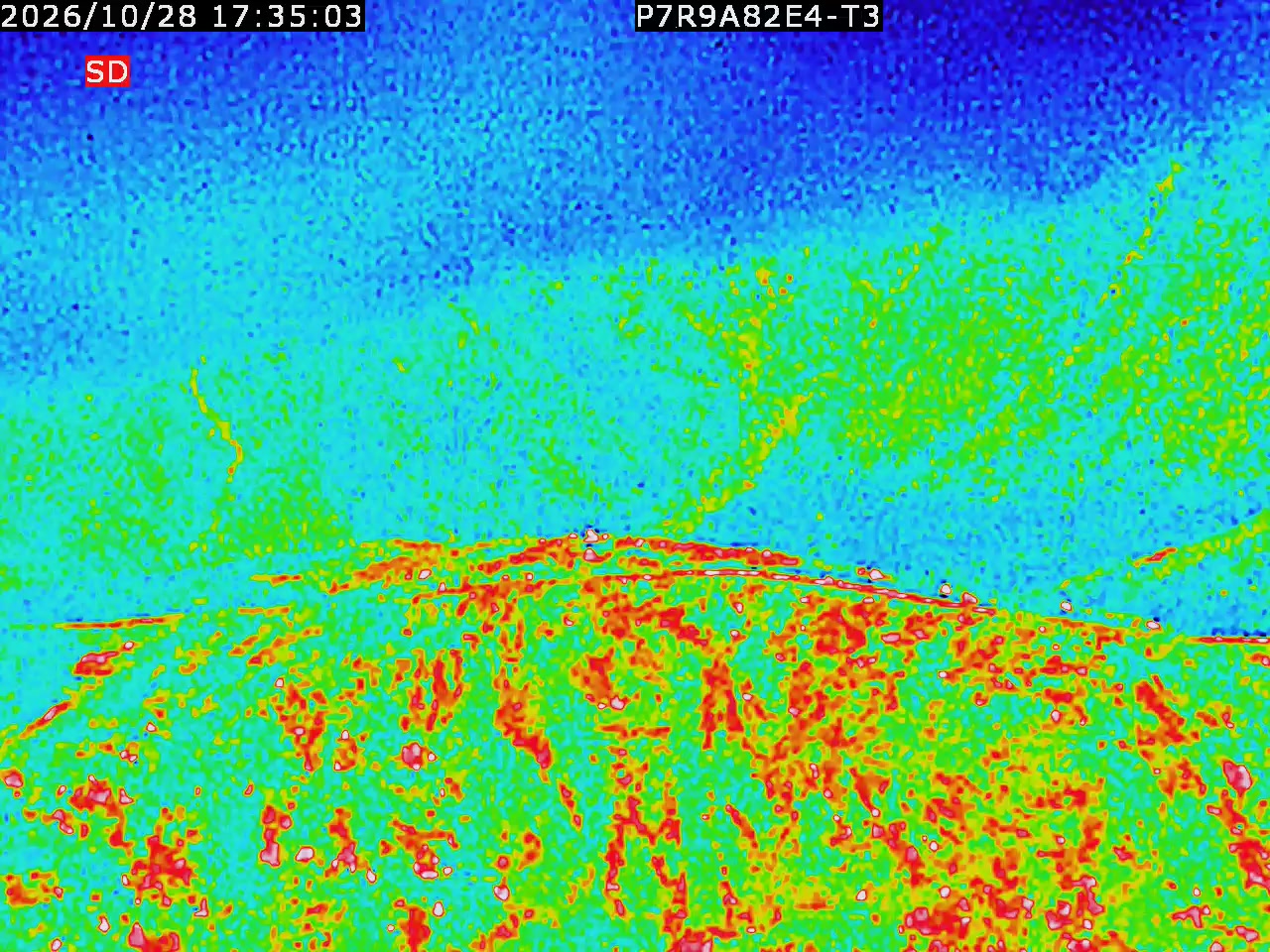 thermal-lilin_202610281735.mp4