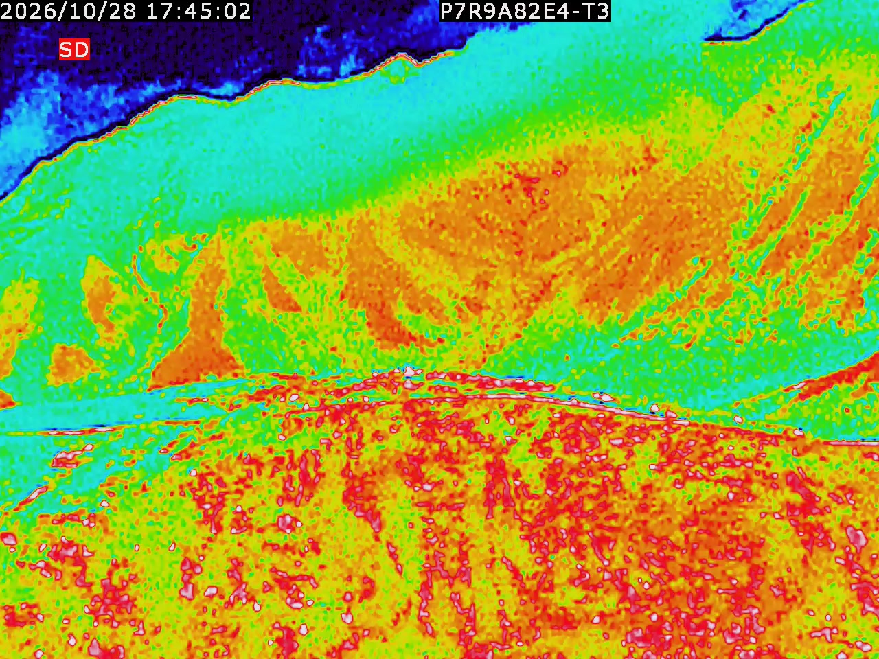thermal-lilin_202610281745.mp4
