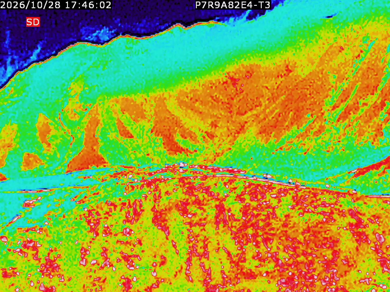 thermal-lilin_202610281746.mp4